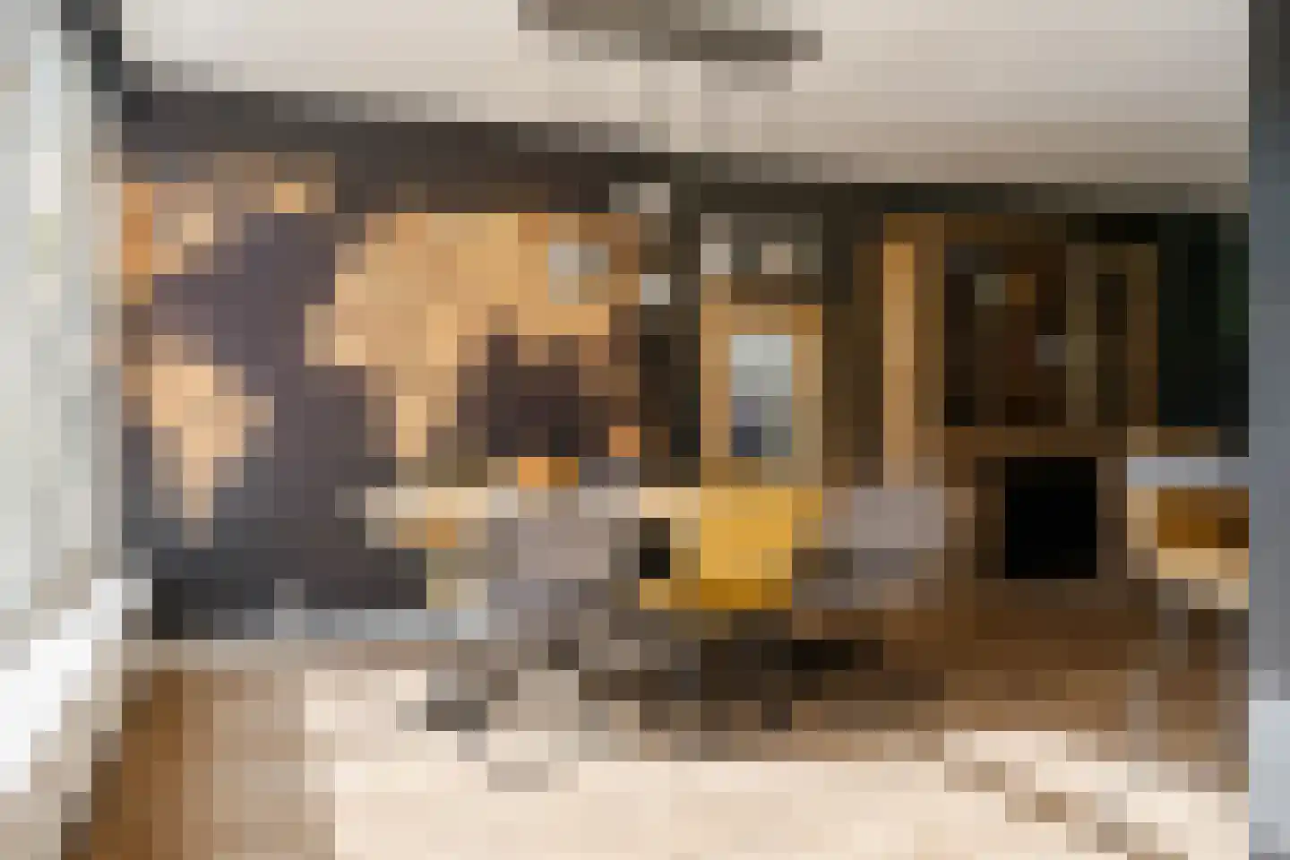 Schroeder van der Kolkstraat 14 Haarlem thumbnail 17