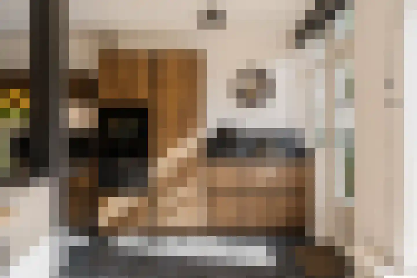 Schroeder van der Kolkstraat 14 Haarlem thumbnail 18