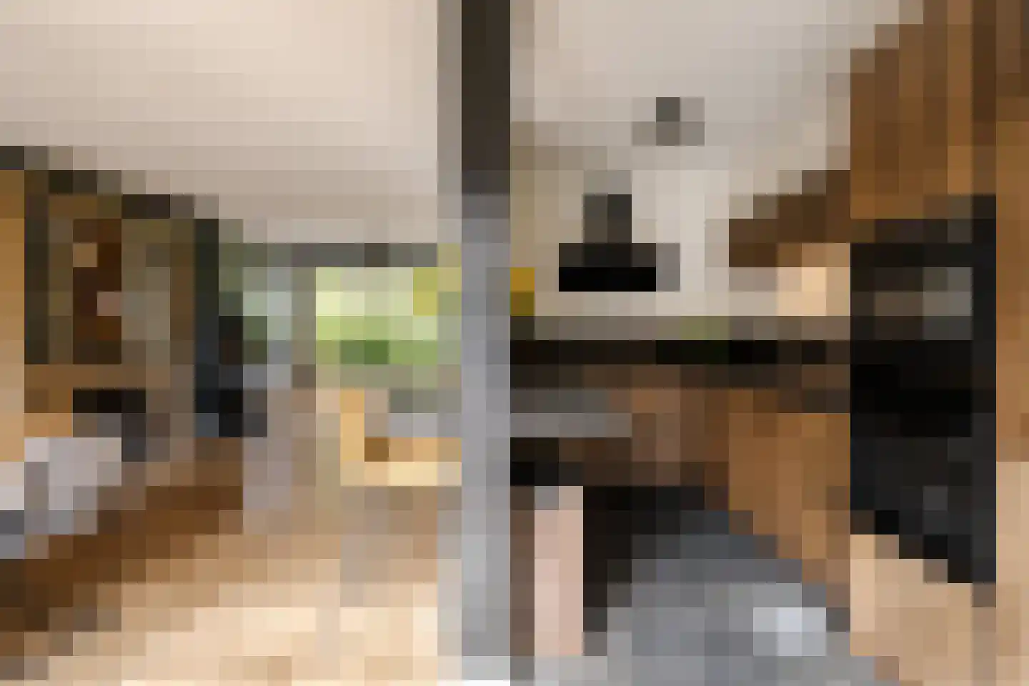 Schroeder van der Kolkstraat 14 Haarlem thumbnail 19