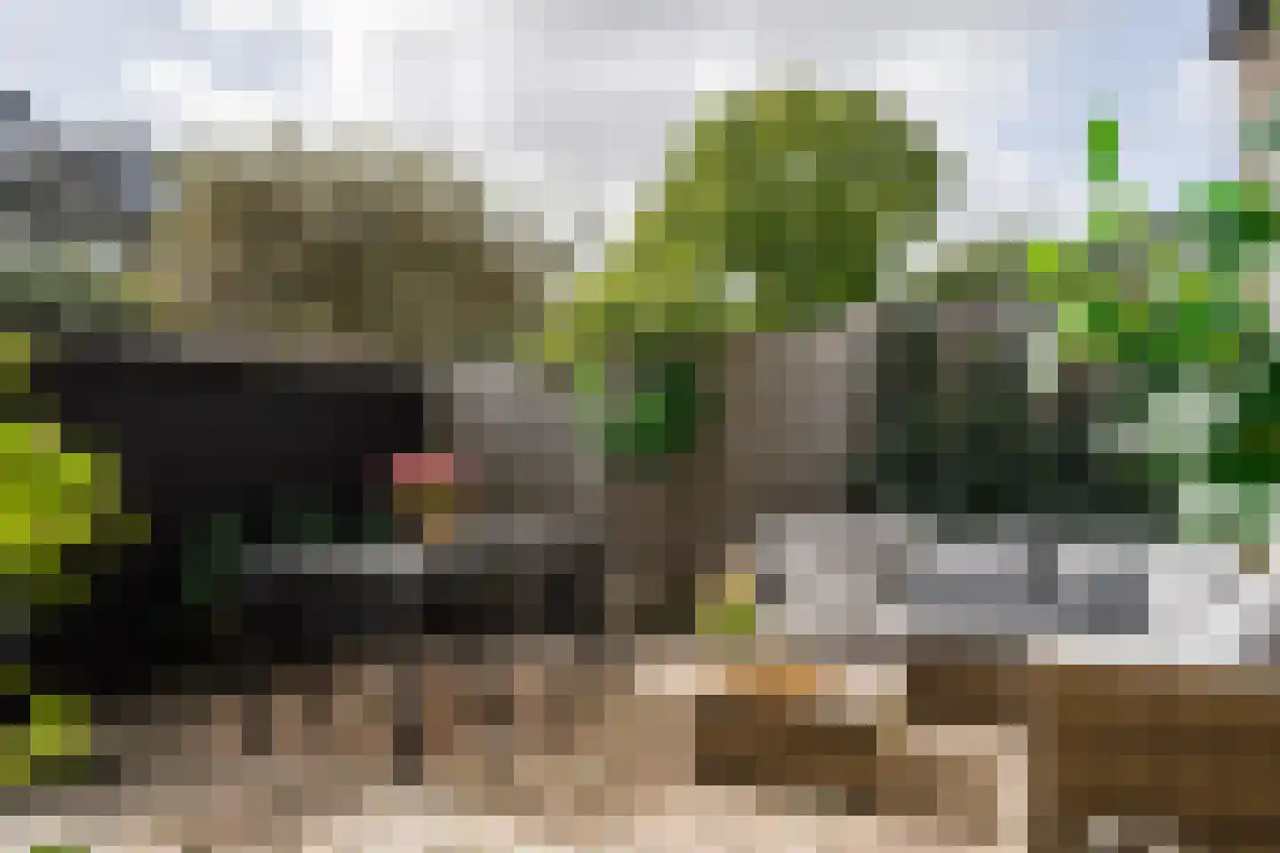 Schroeder van der Kolkstraat 14 Haarlem thumbnail 24