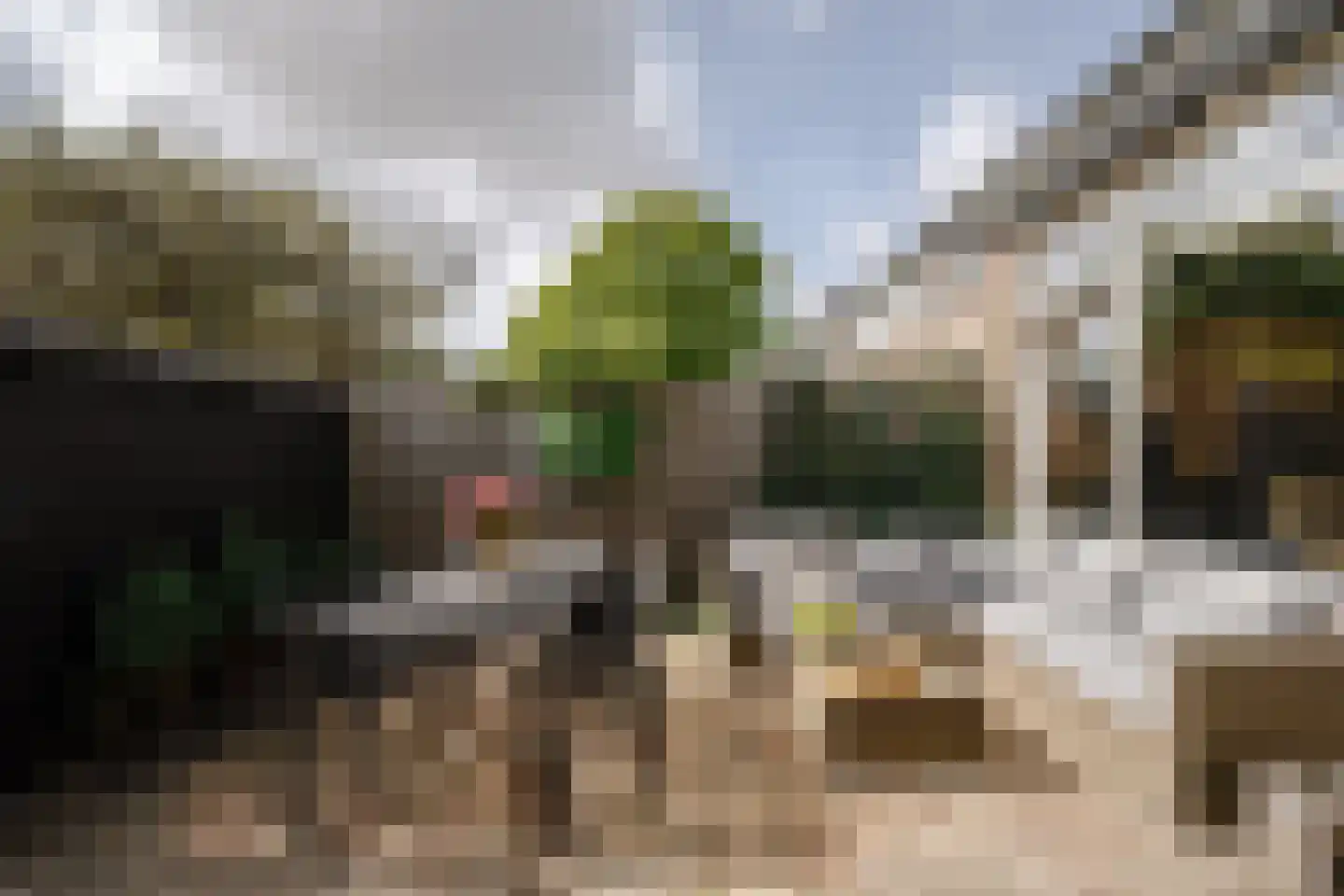 Schroeder van der Kolkstraat 14 Haarlem thumbnail 25