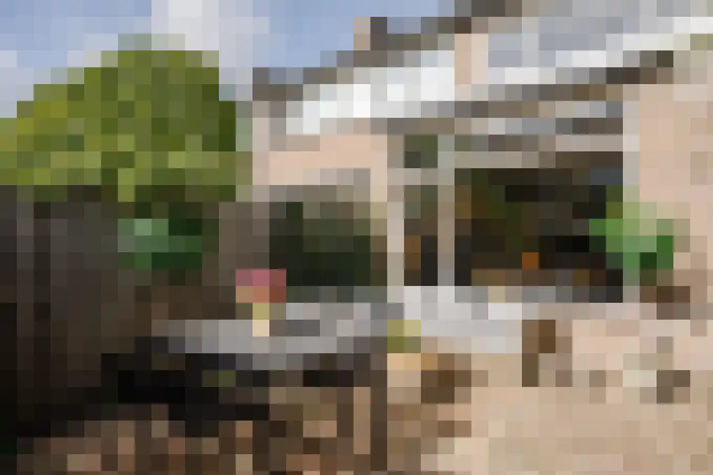 Schroeder van der Kolkstraat 14 Haarlem thumbnail 26
