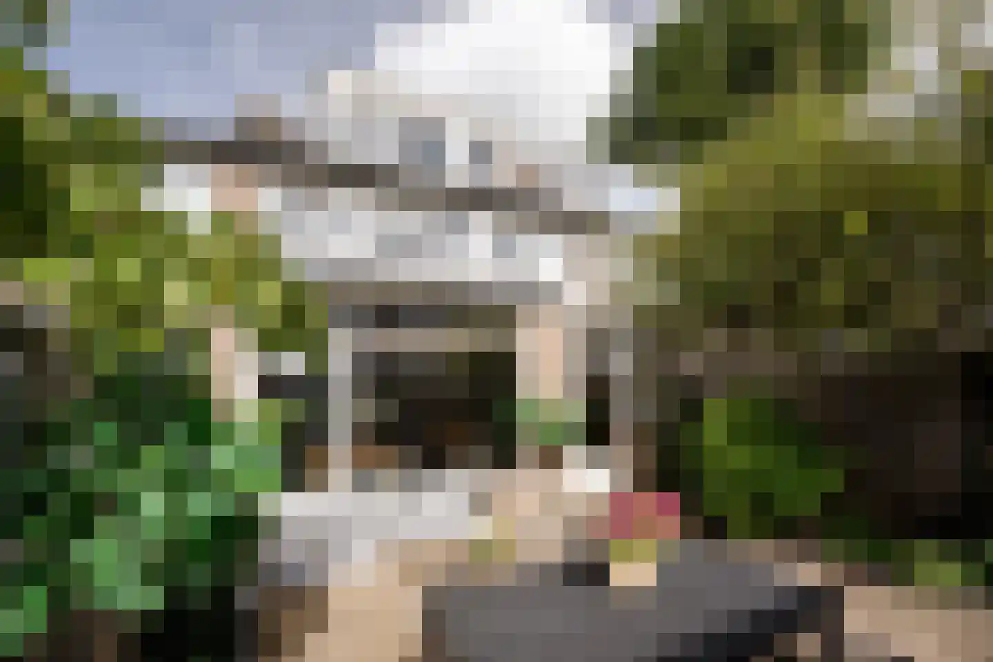 Schroeder van der Kolkstraat 14 Haarlem thumbnail 27