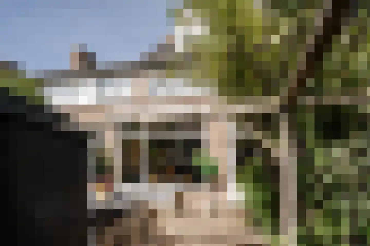 Schroeder van der Kolkstraat 14 Haarlem thumbnail 29
