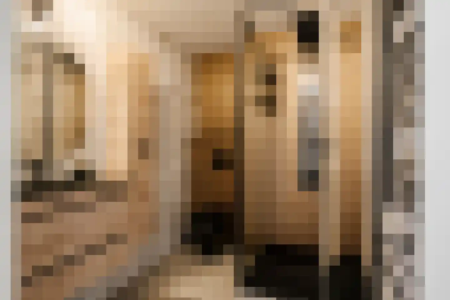 Schroeder van der Kolkstraat 14 Haarlem thumbnail 34
