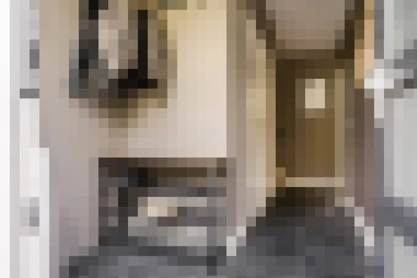 Schroeder van der Kolkstraat 14 Haarlem thumbnail 8