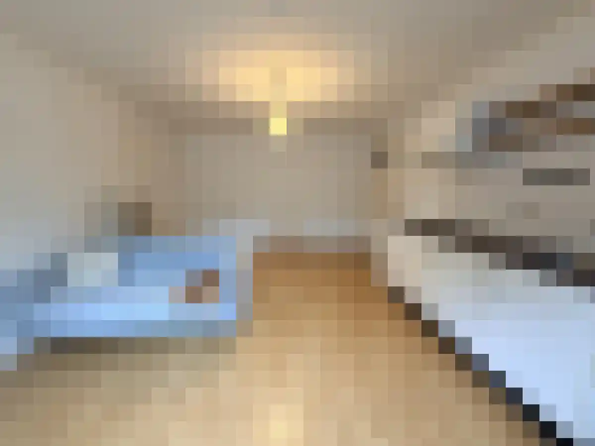 Schroeder van der Kolkstraat 7 Utrecht thumbnail 5