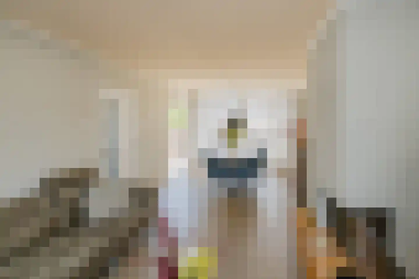 Schroeder van der Kolkstraat 71 Haarlem thumbnail 4
