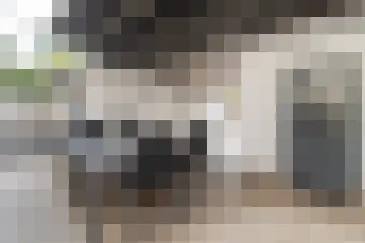 Schroetenstraat 4 Heerlen thumbnail 21
