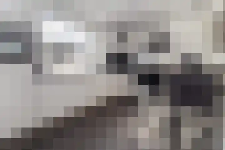 Schroetenstraat 4 Heerlen thumbnail 6
