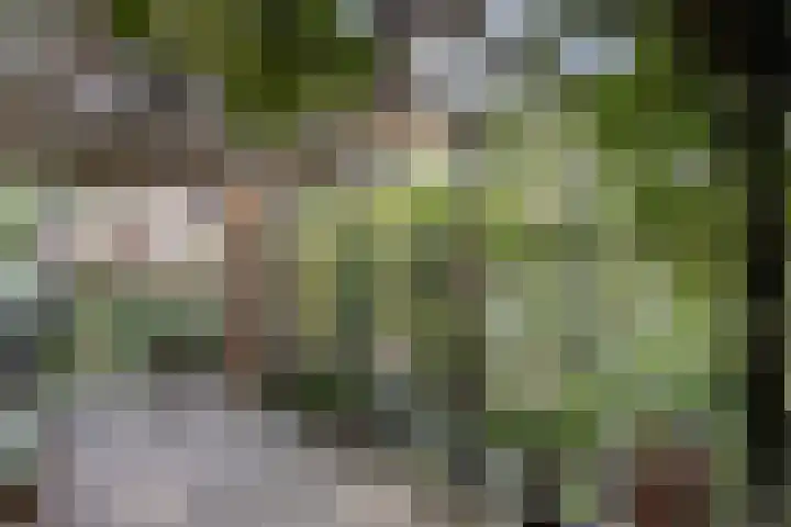Schroetenstraat 7 Heerlen thumbnail 27