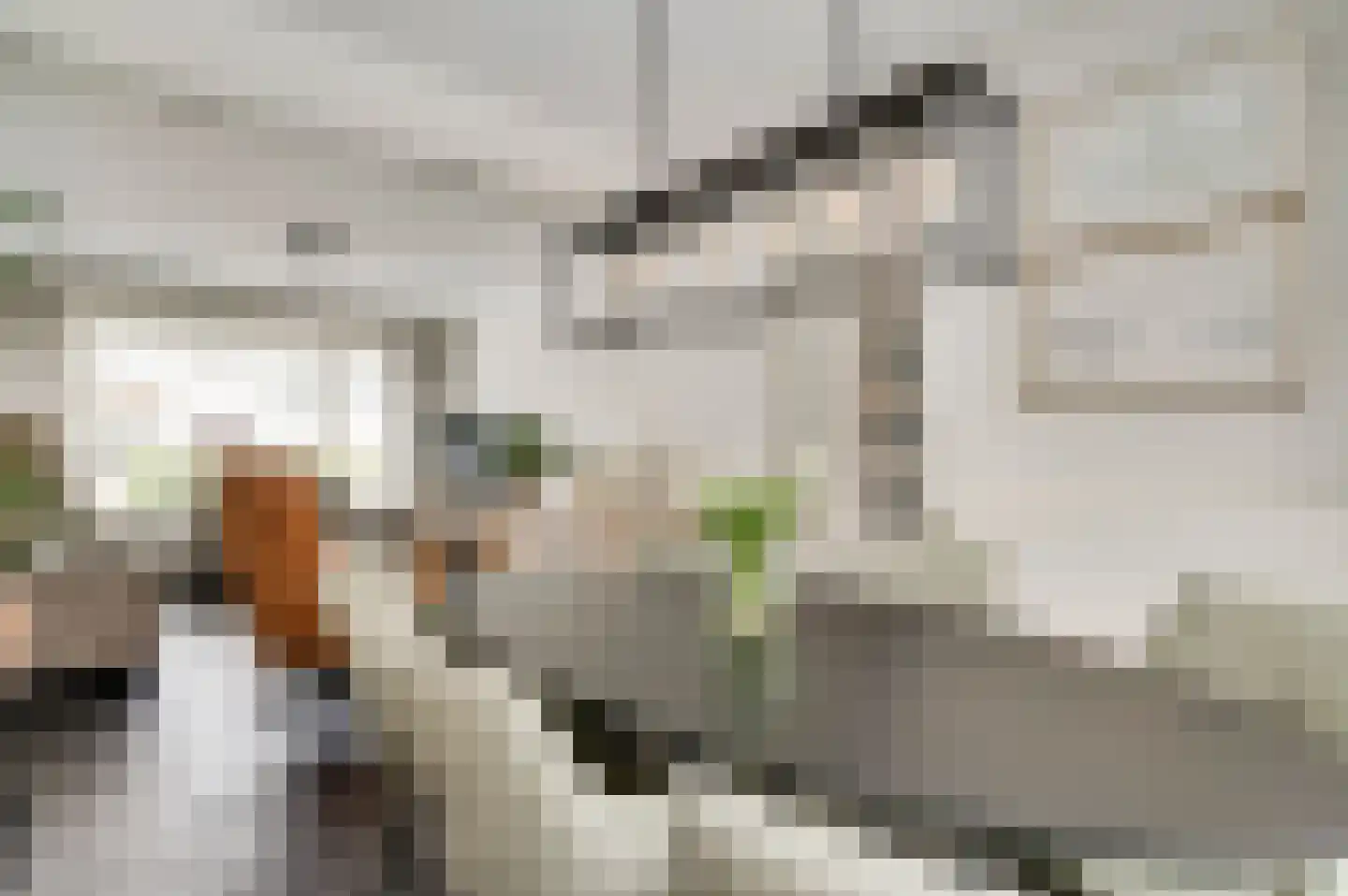 Schroevenakkerstraat 1 Weert thumbnail 19