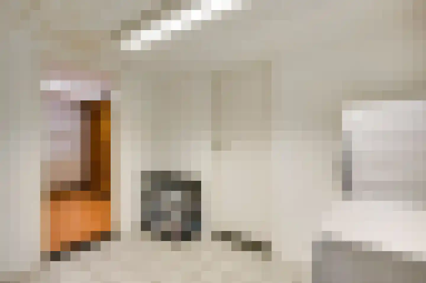 Schroevenakkerstraat 1 Weert thumbnail 32
