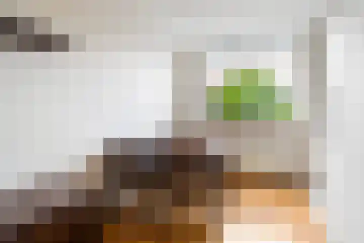 Schroorsmastate 23 Leeuwarden thumbnail 15