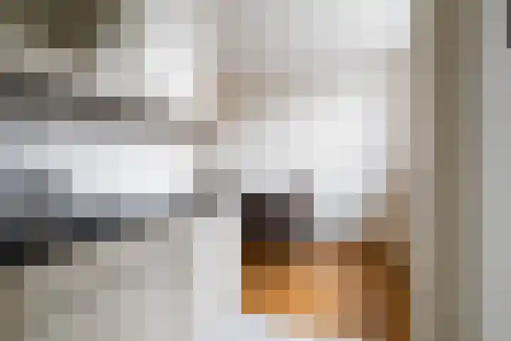 Schroorsmastate 23 Leeuwarden thumbnail 17