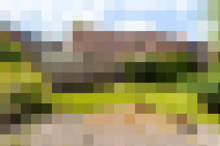 Schroorsmastate 23 Leeuwarden thumbnail 23