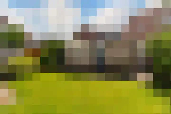 Schroorsmastate 23 Leeuwarden thumbnail 24