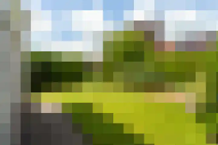 Schroorsmastate 23 Leeuwarden thumbnail 27