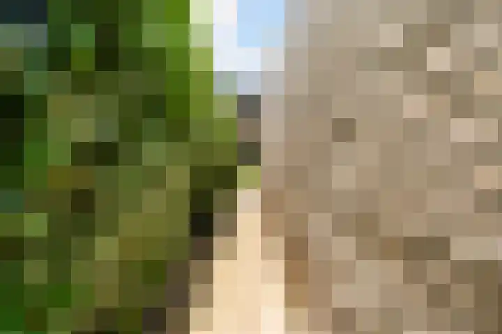 Schroorsmastate 23 Leeuwarden thumbnail 28