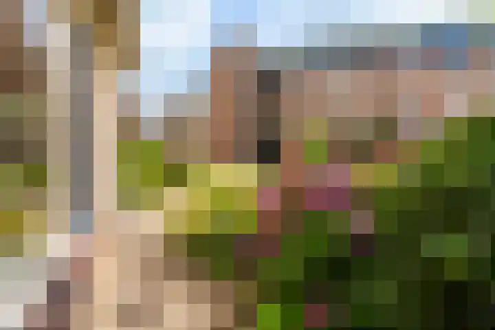 Schroorsmastate 23 Leeuwarden thumbnail 42