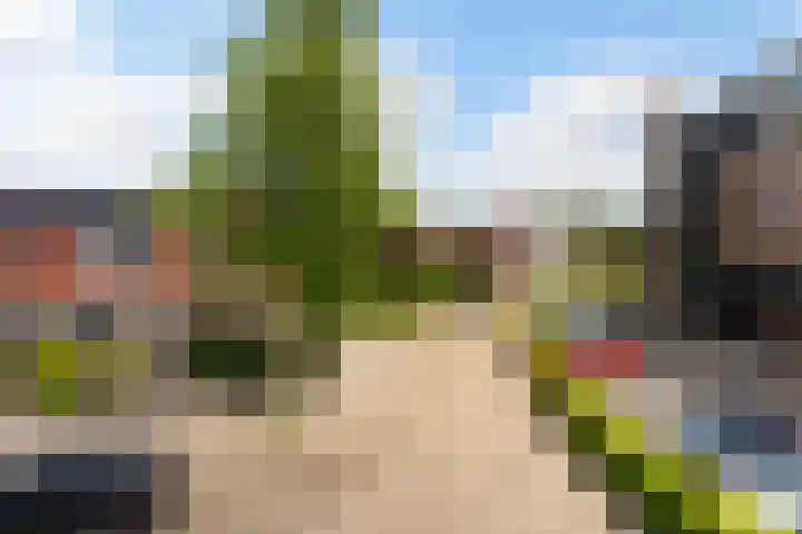 Schroorsmastate 23 Leeuwarden thumbnail 43
