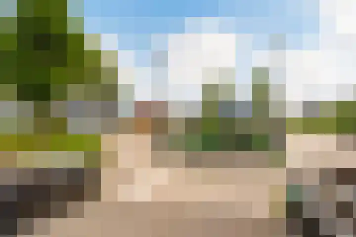 Schroorsmastate 23 Leeuwarden thumbnail 44