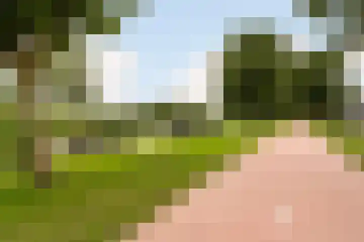 Schroorsmastate 23 Leeuwarden thumbnail 46