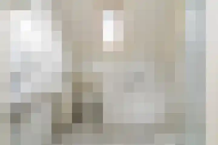 Schroorsmastate 23 Leeuwarden thumbnail 5