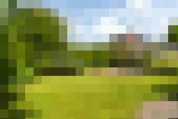 Schroorsmastate 23 Leeuwarden thumbnail 6