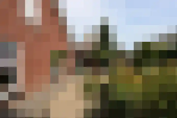 Schrouwenberg 21 Groesbeek thumbnail 6