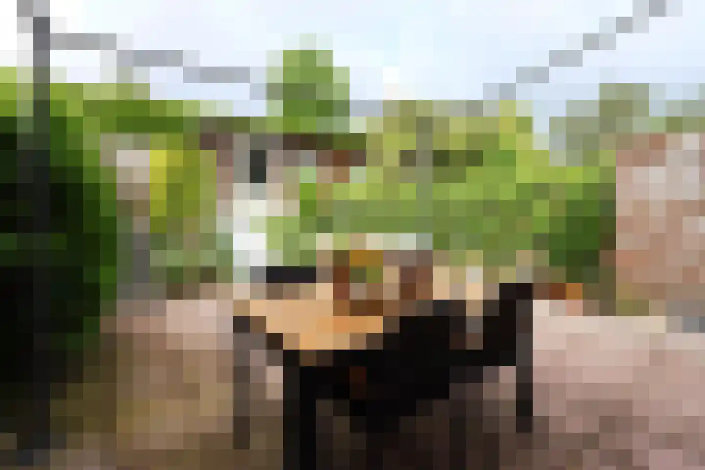 Schrouwenberg 41 Groesbeek thumbnail 7