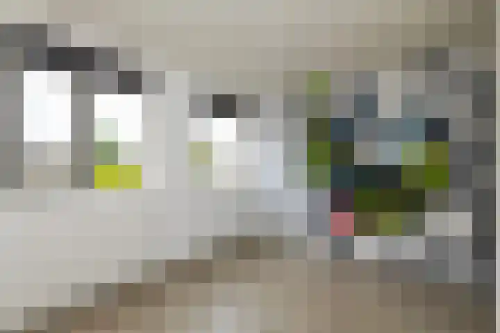 Schubertdreef 16 Harderwijk thumbnail 14