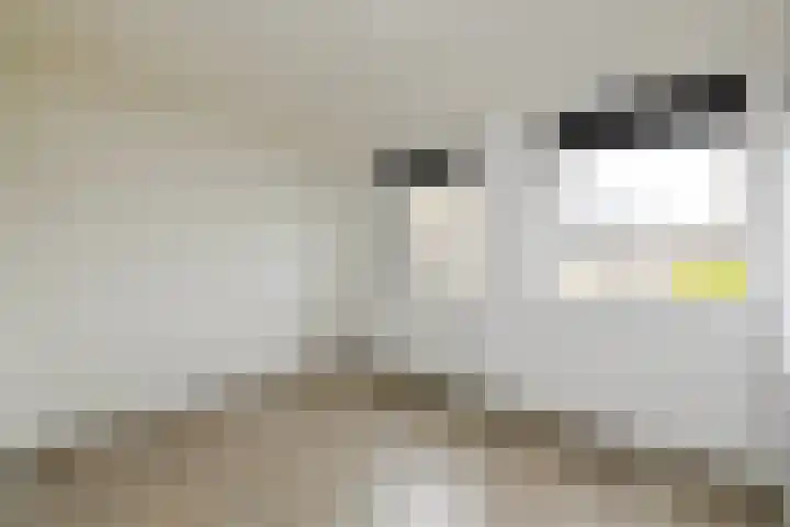 Schubertdreef 16 Harderwijk thumbnail 15