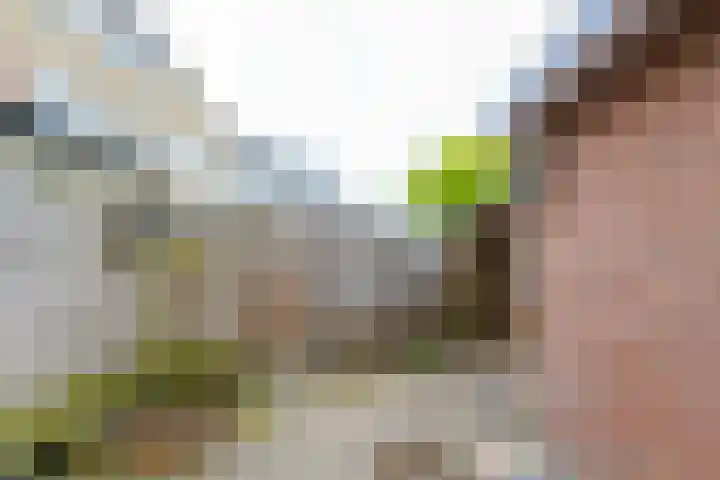 Schubertdreef 16 Harderwijk thumbnail 24