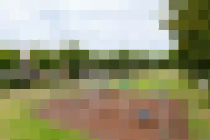 Schubertdreef 16 Harderwijk thumbnail 26