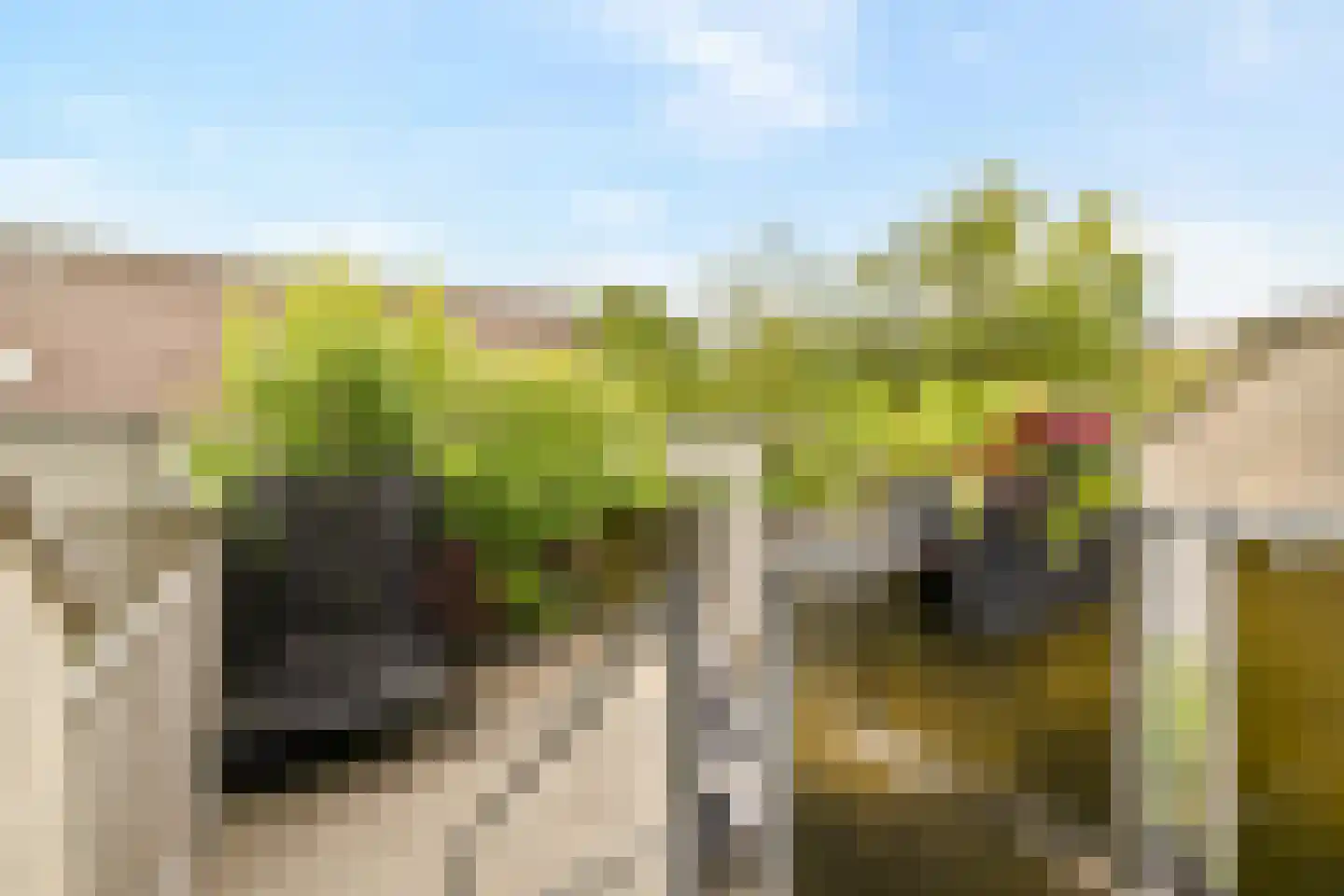 Schubertdreef 3 Barendrecht thumbnail 10