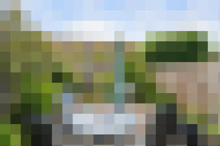 Schubertdreef 33 Barendrecht thumbnail 36