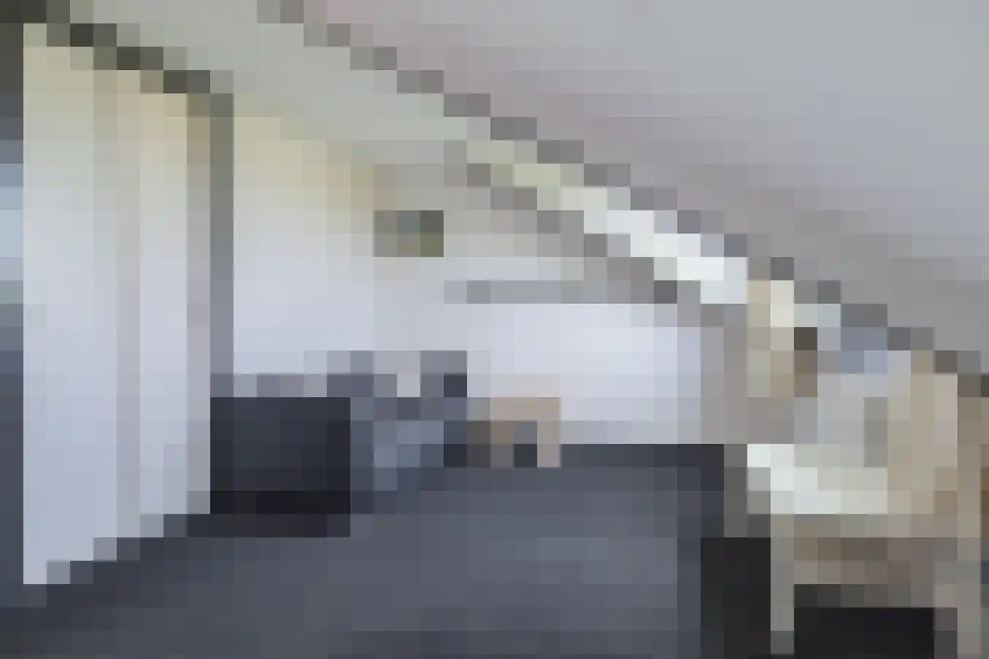 Schubertdreef 47 Barendrecht thumbnail 30