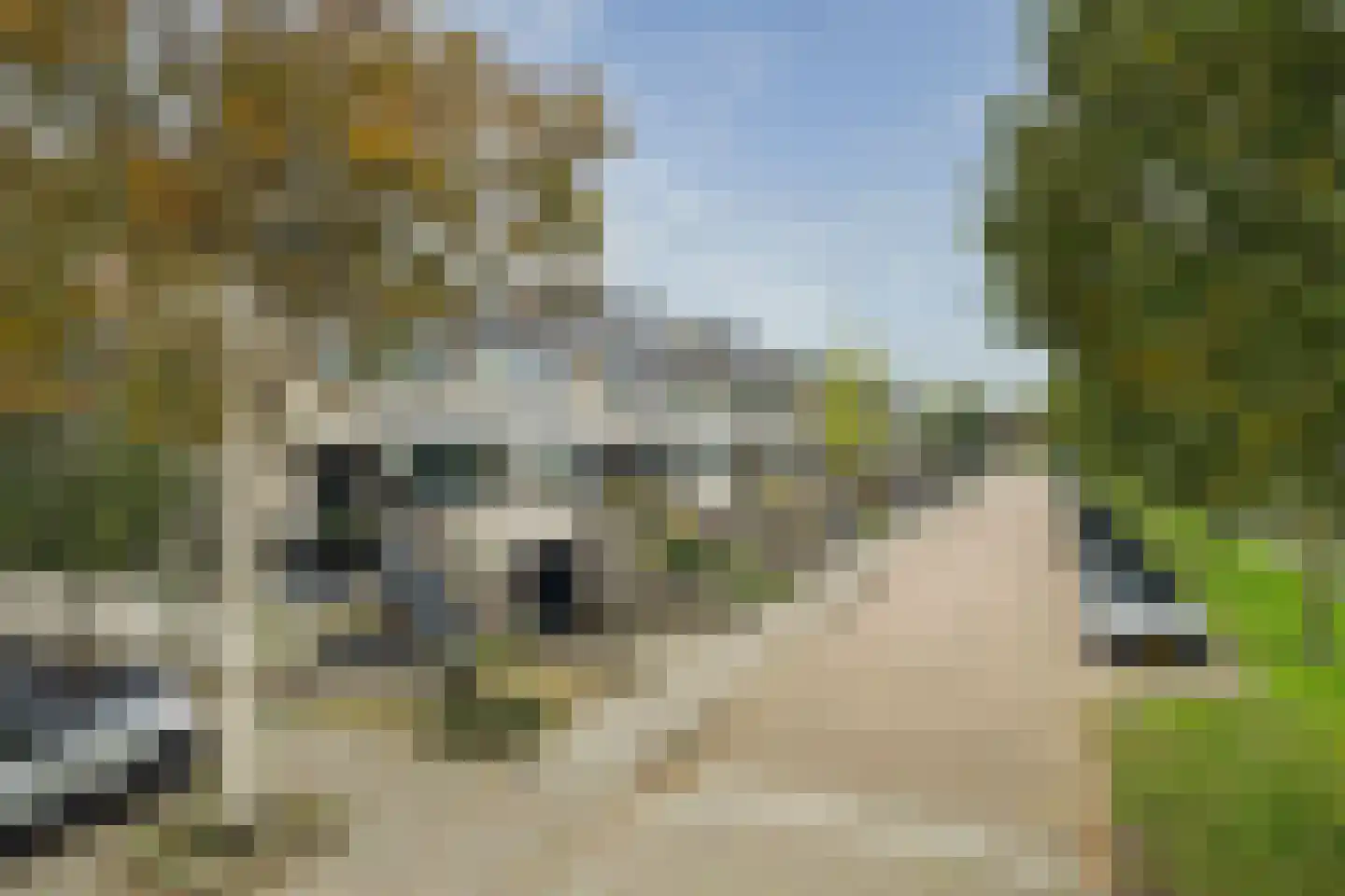 Schubertdreef 47 Barendrecht thumbnail 38