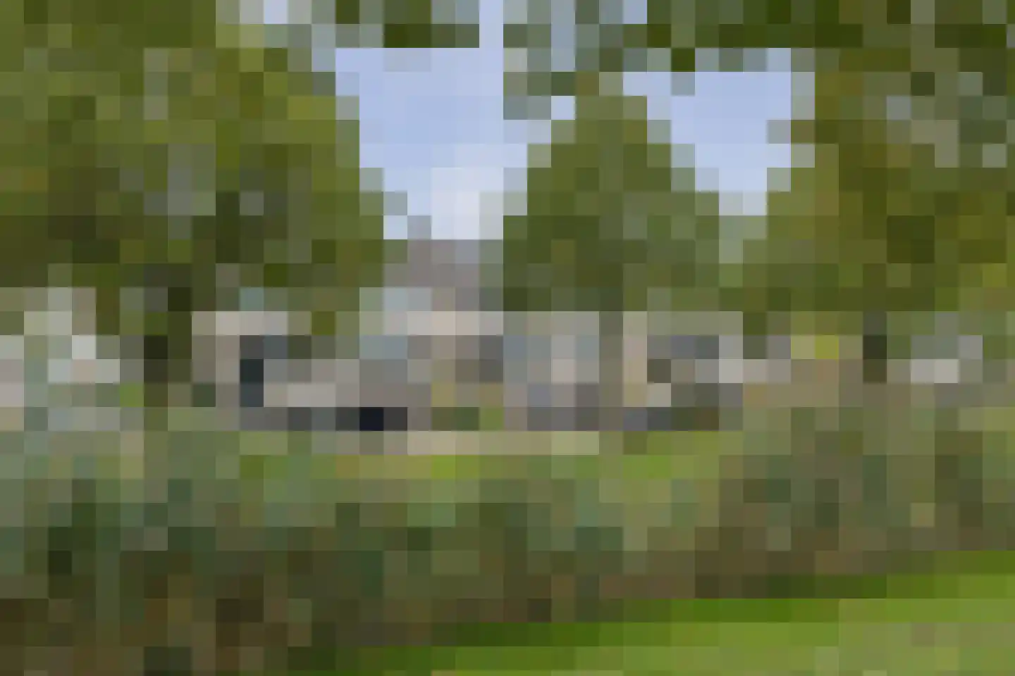 Schubertdreef 47 Barendrecht thumbnail 39