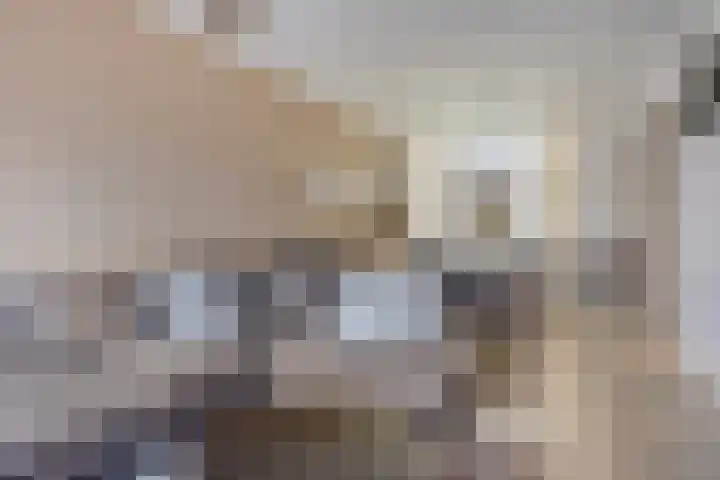 Schuberthof 134 Terneuzen thumbnail 10