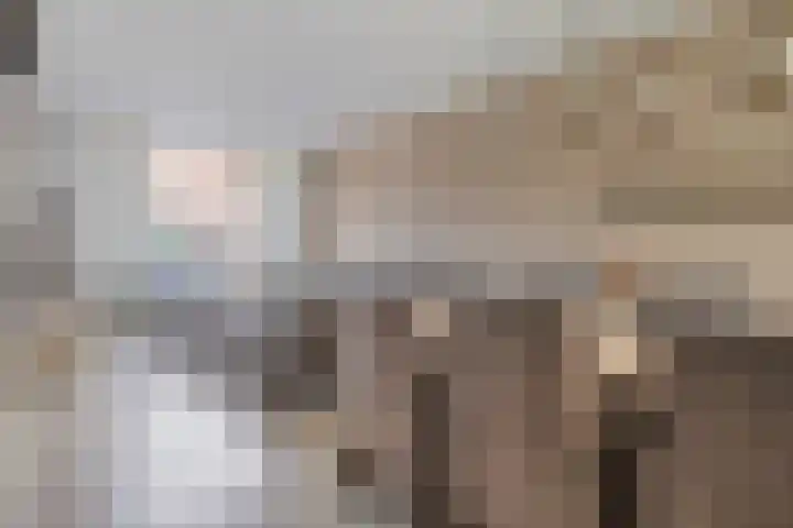 Schuberthof 134 Terneuzen thumbnail 12