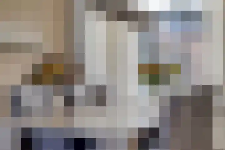 Schuberthof 134 Terneuzen thumbnail 13