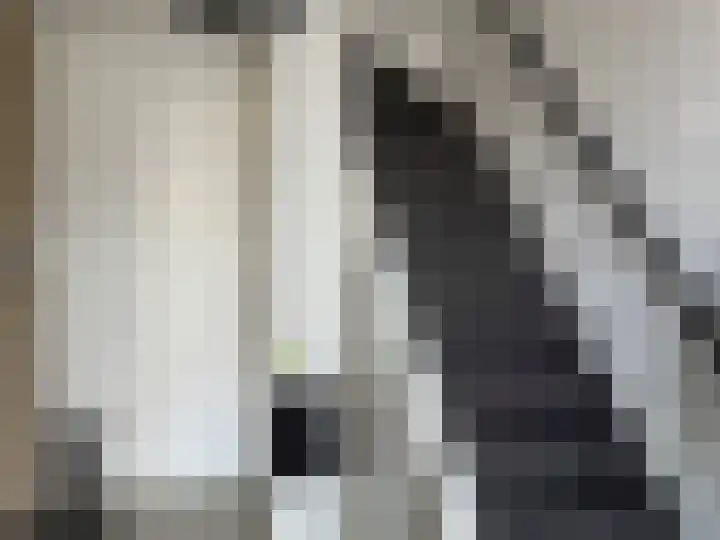 Schuberthof 134 Terneuzen thumbnail 20