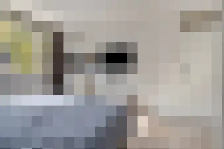 Schuberthof 134 Terneuzen thumbnail 23