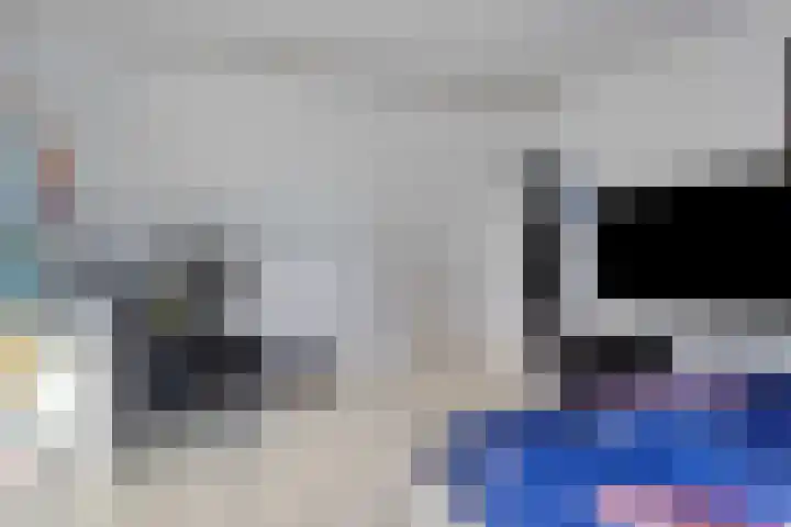 Schuberthof 134 Terneuzen thumbnail 31