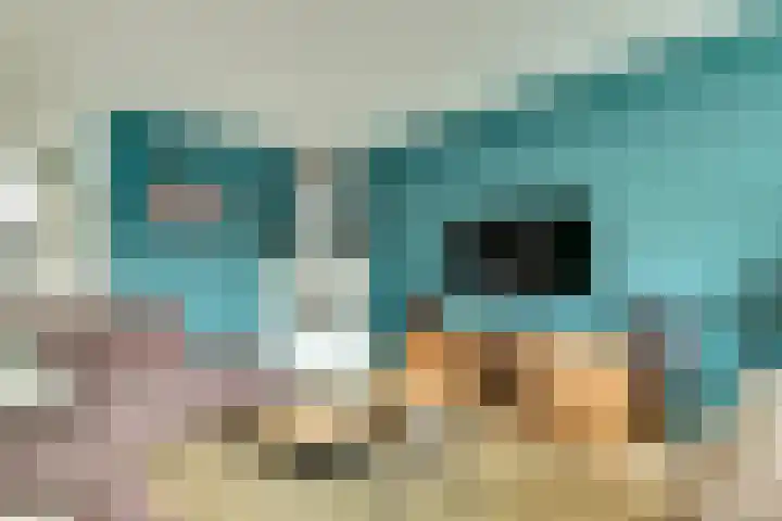 Schuberthof 19 Waddinxveen thumbnail 11