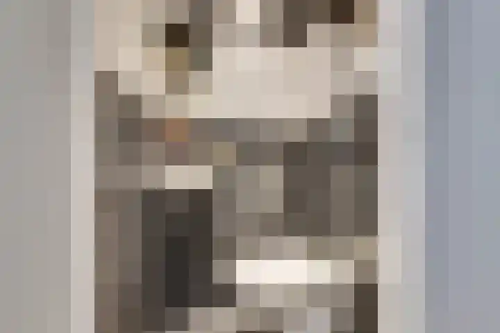 Schuberthof 19 Waddinxveen thumbnail 18