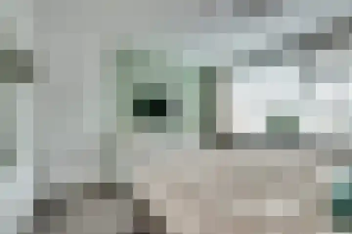 Schuberthof 19 Waddinxveen thumbnail 20