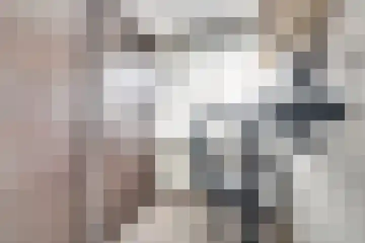 Schuberthof 19 Waddinxveen thumbnail 23